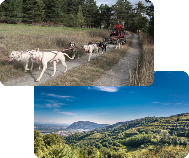 Cani-kart-rando-ete-crussol-chien-traineau-drome-ardeche